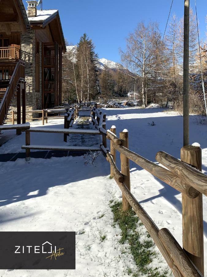 Willa Zitelli Aosta Cogne Zewnętrze zdjęcie
