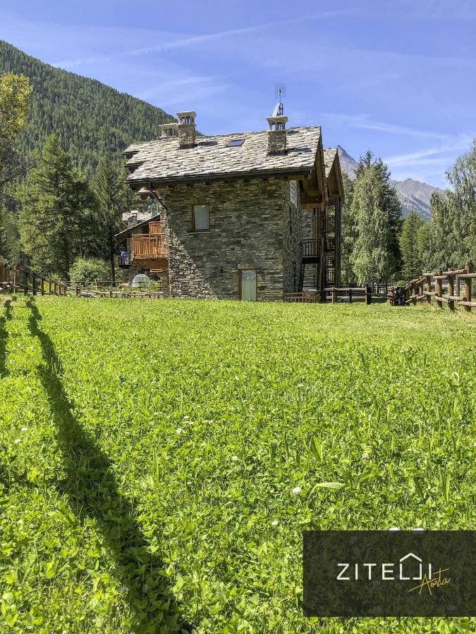 Willa Zitelli Aosta Cogne Zewnętrze zdjęcie